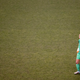 Illustration for article titled Domestic Violence Charges Against Hope Solo Dropped